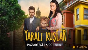 Yaralı Kuşlar 147.Bölüm izle 5 Kasım 2019