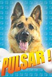 Pulsar izle