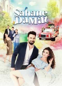 Şahane Damat izle 