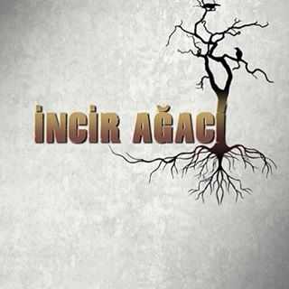 İncir Ağacı Son Bölüm izle 