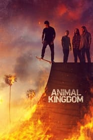 Animal Kingdom izle