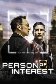 Person of Interest izle