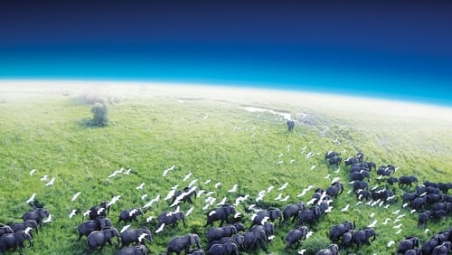 Planet Earth 1.Sezon 10.Bölüm izle