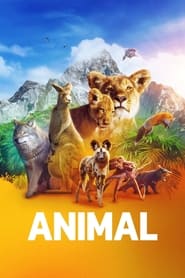 Hayvanların Sırları Türkçe Dublaj izle