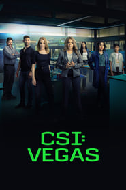 CSI: Vegas Türkçe Dublaj izle