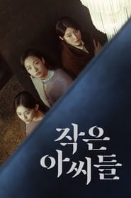 Little Women izle