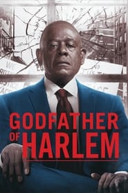 Godfather of Harlem izle