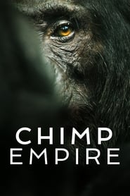 Chimp Empire izle 