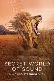 Secret World of Sound with David Attenborough izle 